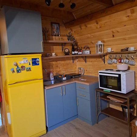 Villa Planinska Kuca Isiteo à Kremna Extérieur photo