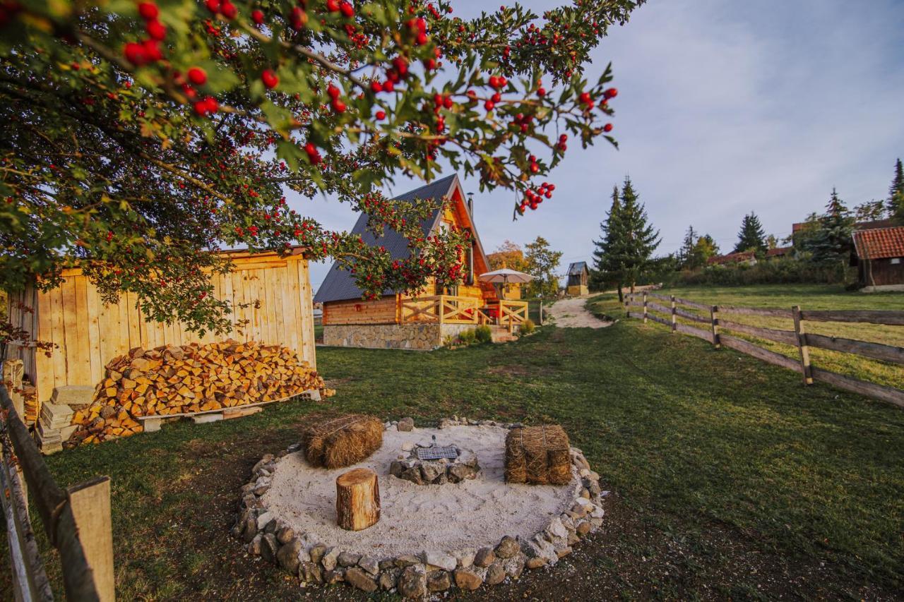 Villa Planinska Kuca Isiteo à Kremna Extérieur photo