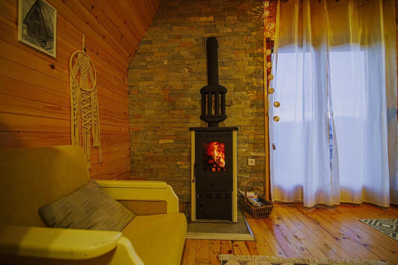 Villa Planinska Kuca Isiteo à Kremna Extérieur photo
